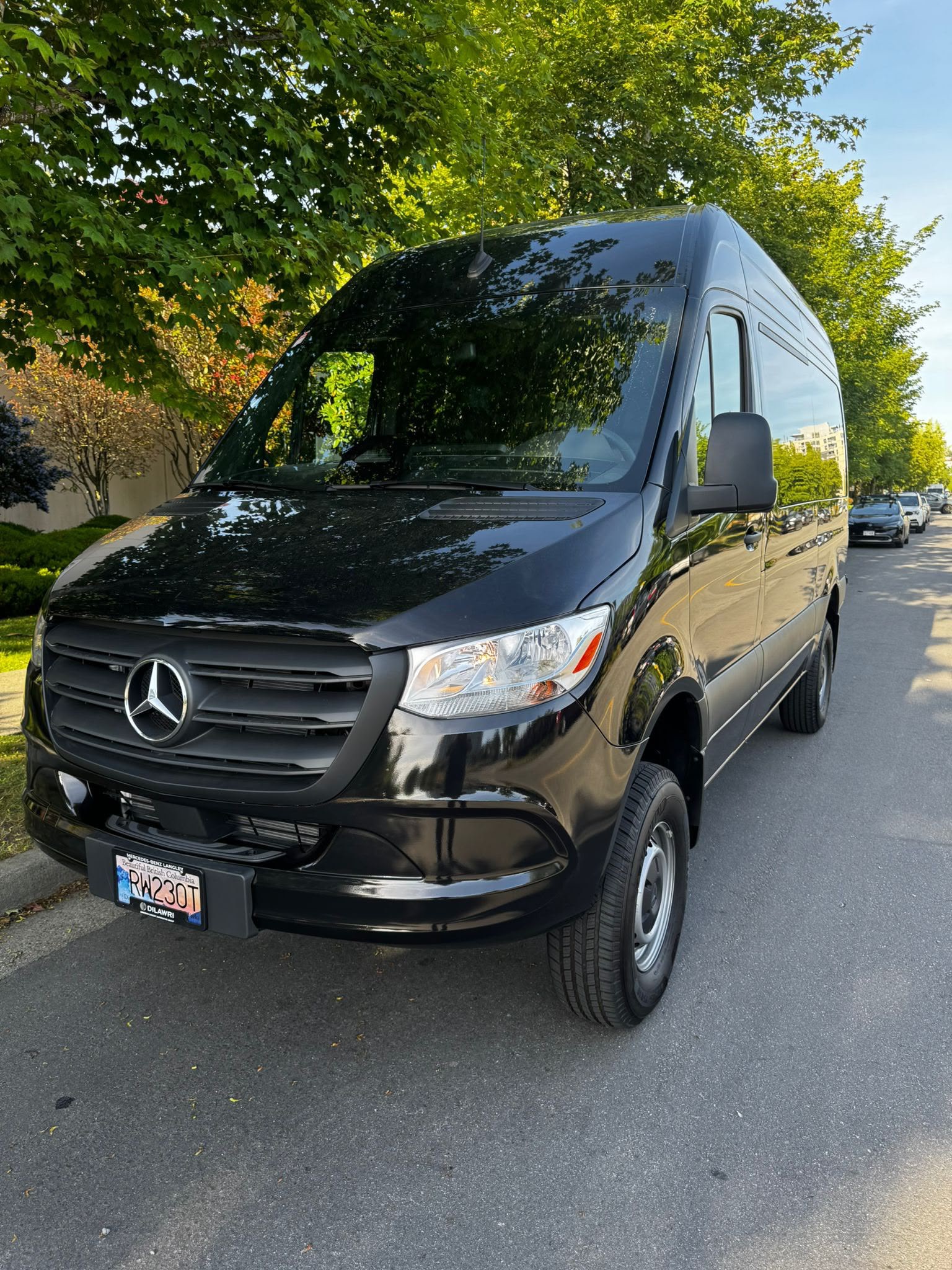Mercedes-Benz Sprinter AWD 12 Passenger